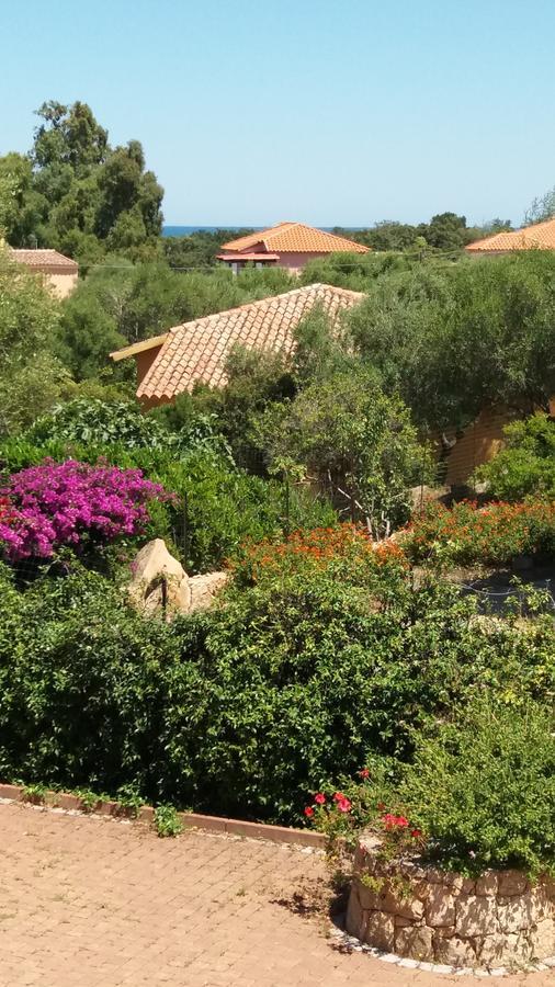 Settimo Cielo Bed & Breakfast San Teodoro  Exterior photo